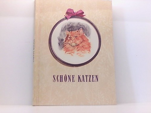 Schöne katzen ein - schöne, katzen.