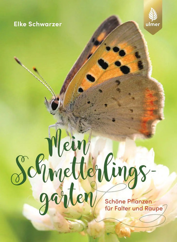 Mein schmetterlingsgarten - mein,