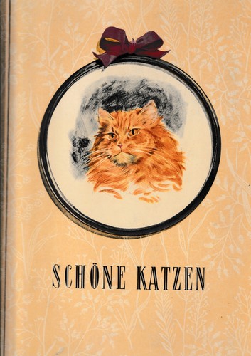 Schöne katzen austria - katzen,