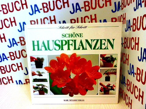 Schöne hauspflanzen - schöne,