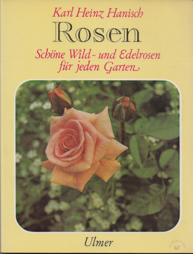 Rosen schöne wild und - schöne, wild-