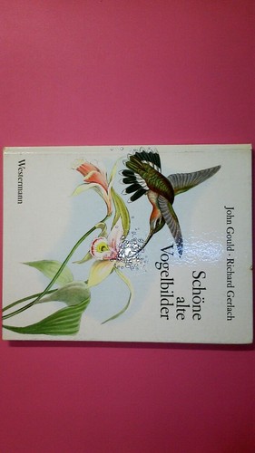 144080 john gould - 144080,
