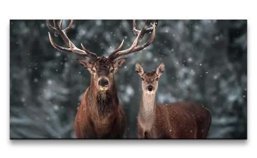 120x60cm leinwandbild hirsch - 120x60cm,